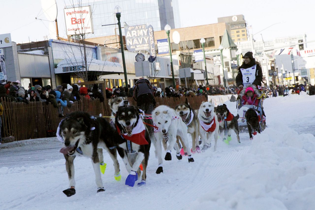 Alaska's Iditarod dogs get neon visibility harnesses after 5 were