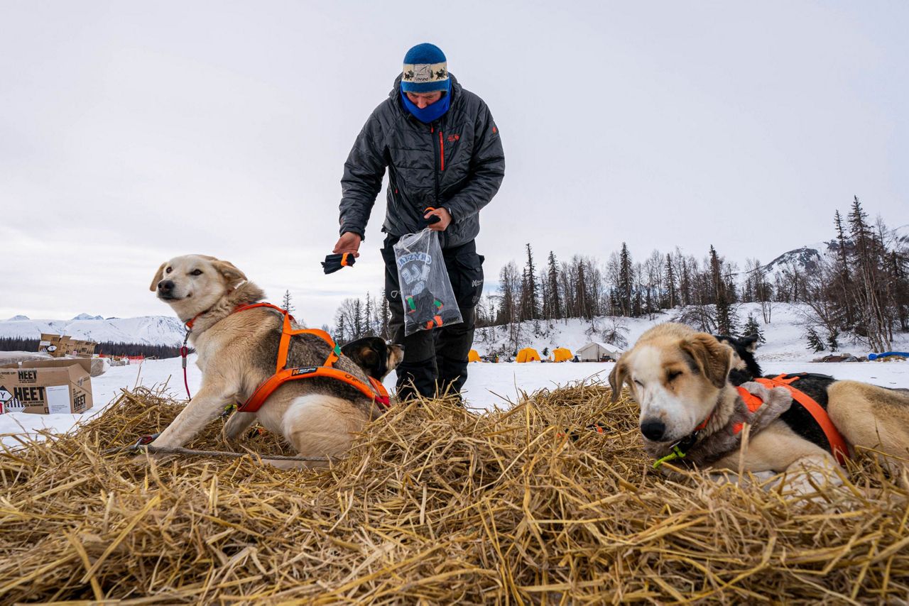Dallas Seavey wins Iditarod, matches most wins by a musher