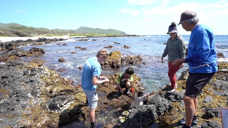 Volunteers observe limu under the watchful eye of expert Wally Ito. (Department of Land and Natural Resources)