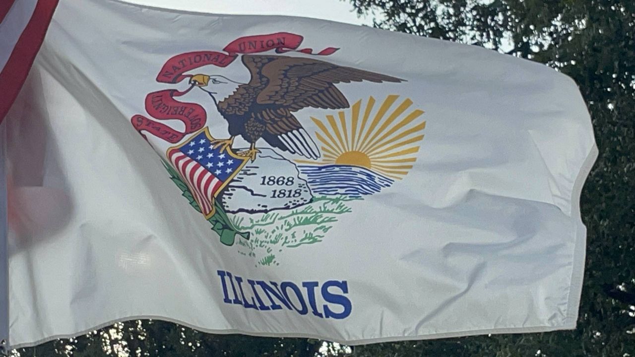 An Illinois state flag flies over a farm in Okawville, Ill. (Spectrum News/Gregg Palermo)