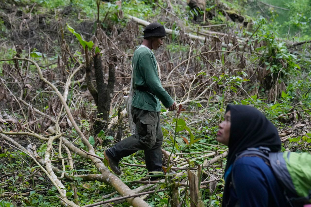 In Indonesia, women ranger teams go on patrol to slow deforestation