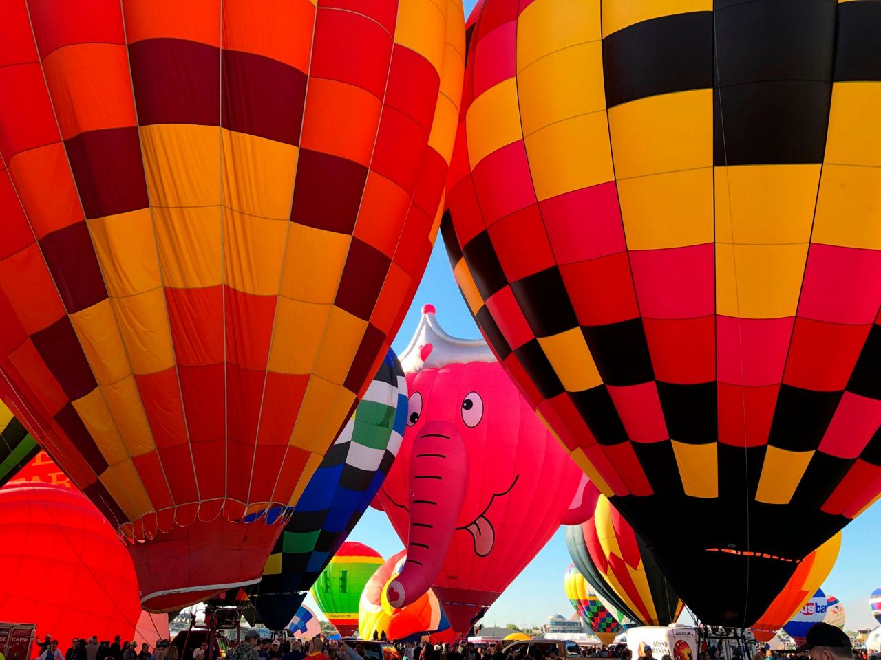 International balloon fiesta grounded by fog