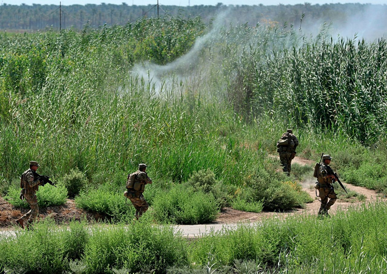 Iraqi Forces Clear Farmland Near Baghdad Of IS Militants