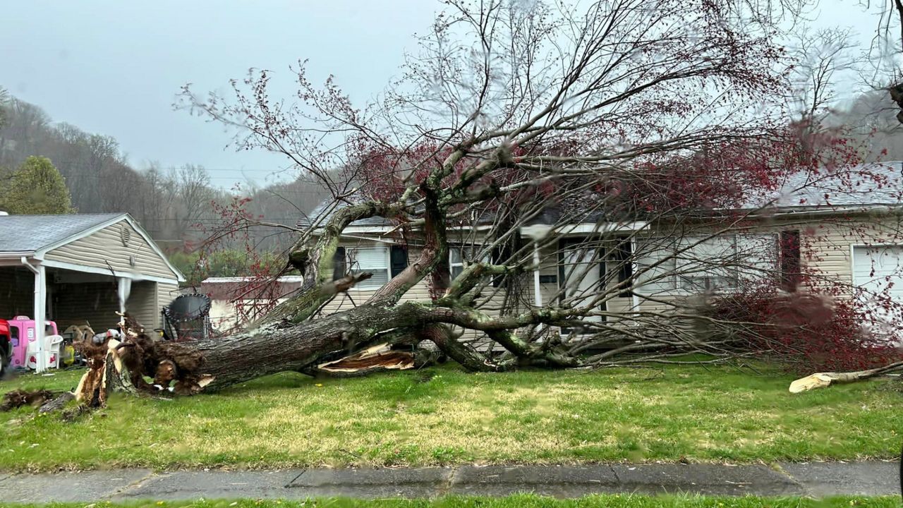 A collapsed tree on a home in the village of Ironton, Ohio, after storms passed through on April 2, 2024. (Photo courtesy of Matt Simon)
