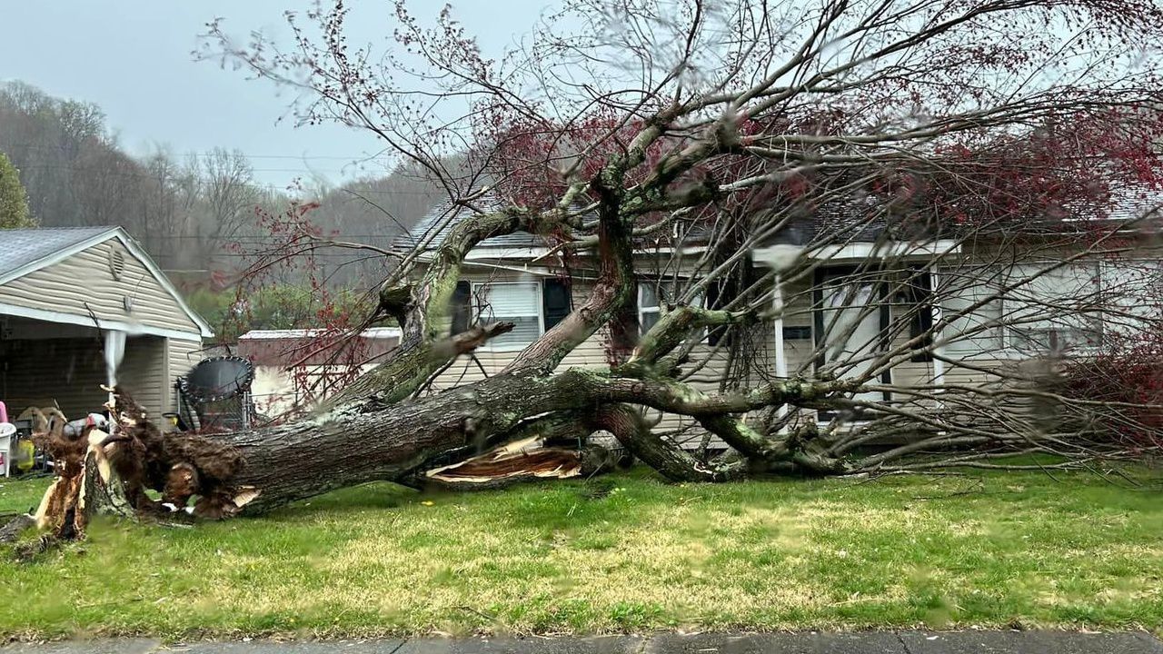 Strong storms left behind damage and fallen trees on the north side of Ironton, Ohio Tuesday morning.  (Photo courtesy of Matt Simon)