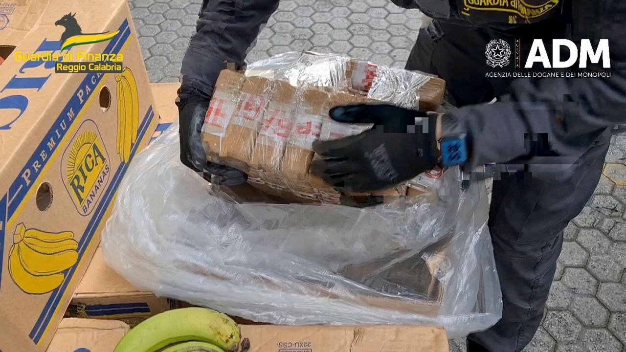Italian police dog with fine nose for cocaine sniffs out drugs hidden ...
