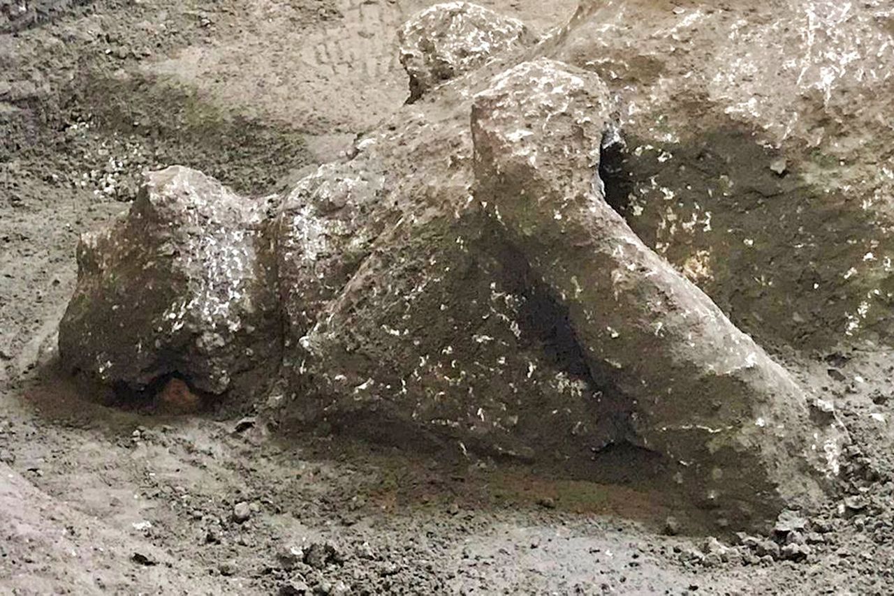 Bodies of man and his slave unearthed from ashes at Pompeii
