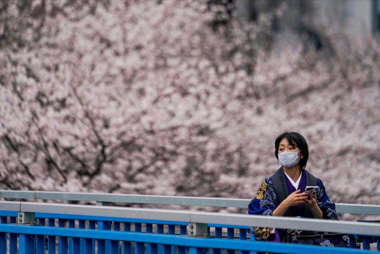 Japanese enjoy. Seasons of Blossom.