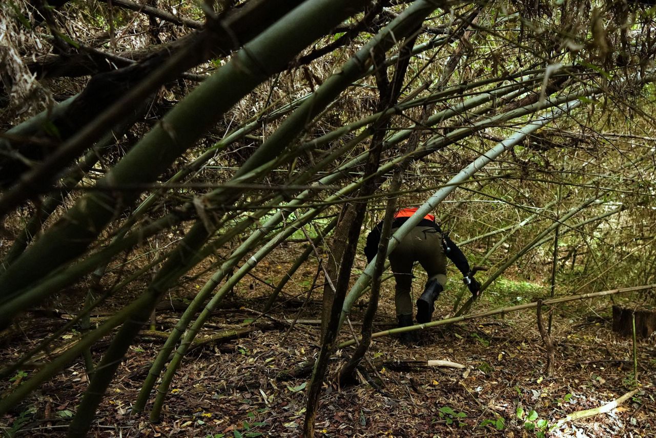 In Japan's Northern Alps, residents battle monkeys to protect homes and ...