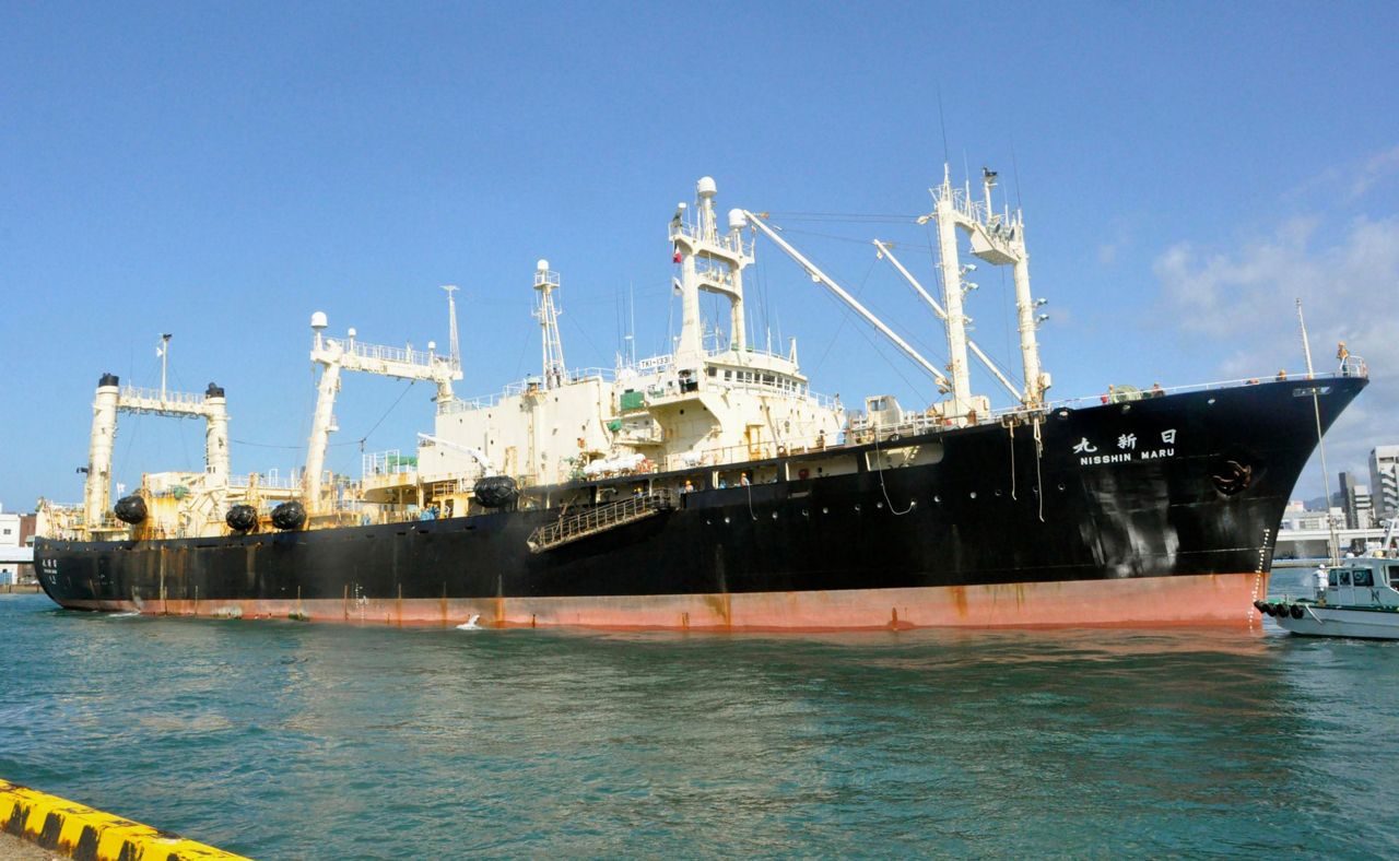 Japan whaling ship returns home after first commercial hunt