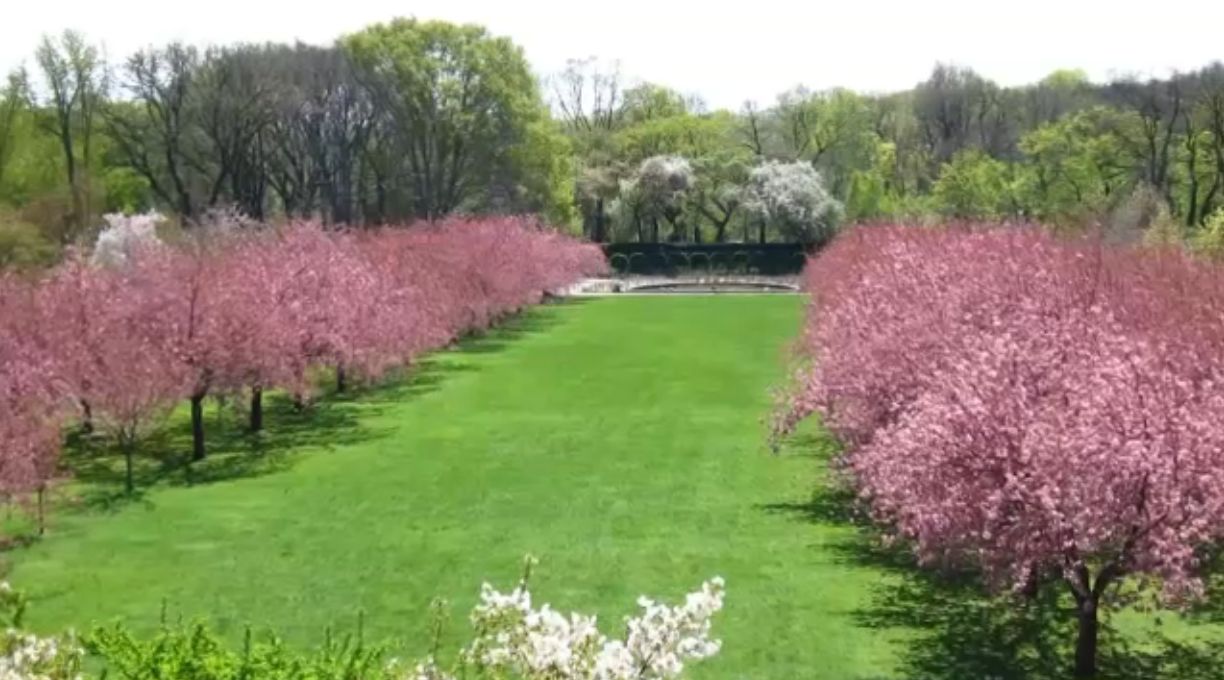 Brooklyn Botanic Garden: A Guide to Visiting & Exploring the 52-Acre Oasis