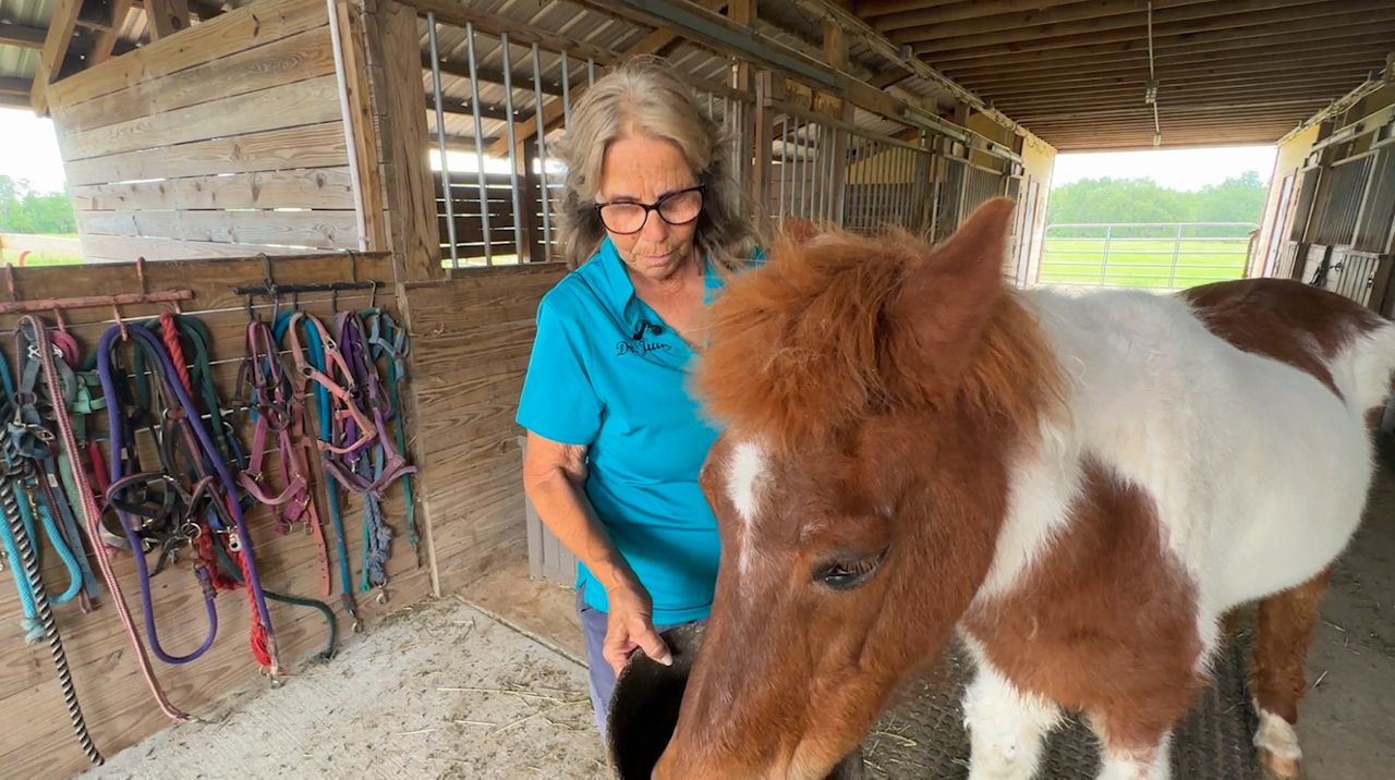 Wesley Chapel resident concerned about overdevelopment in the area