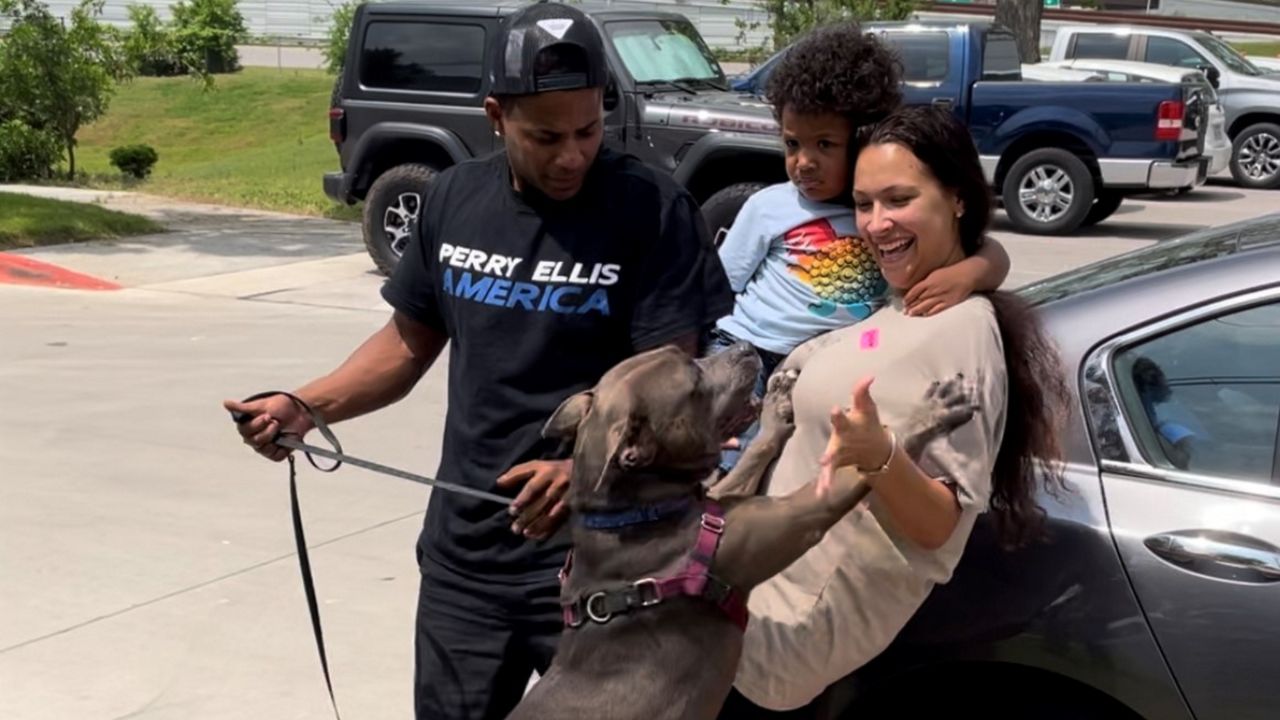 Dog reunites with family after 301 days in shelter