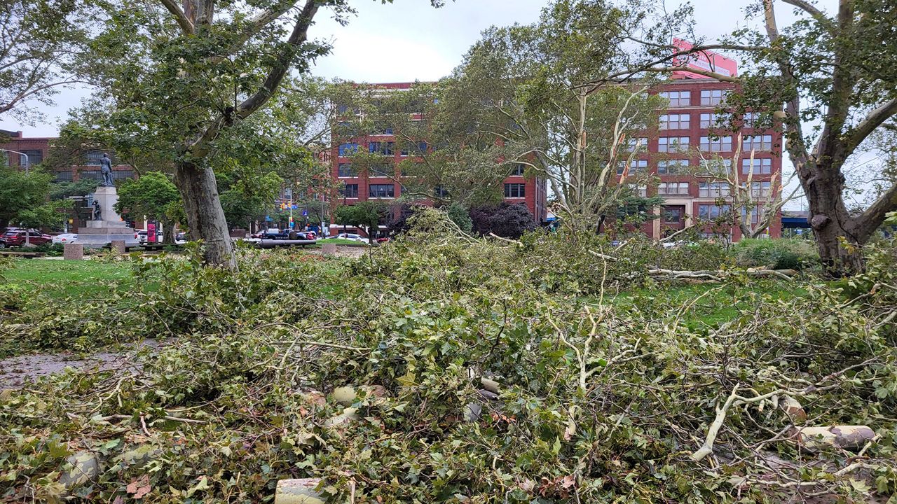 Fallen trees outside the Cuyahoga County Justice Center. (Courtesy of the Cuyahoga County Justice Center)