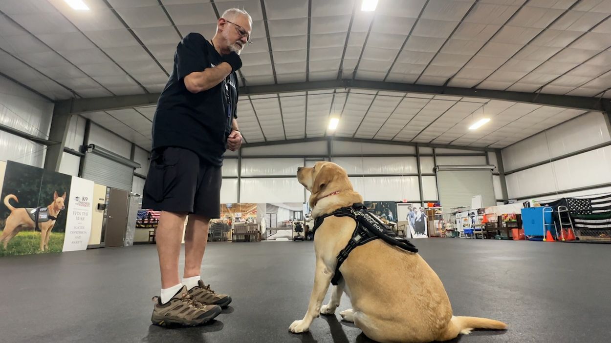 Canine Five Rings Dog Training EVA Chew Ball Flying Ring Set For Pet Dog  Training, Bite, image size:1250x703