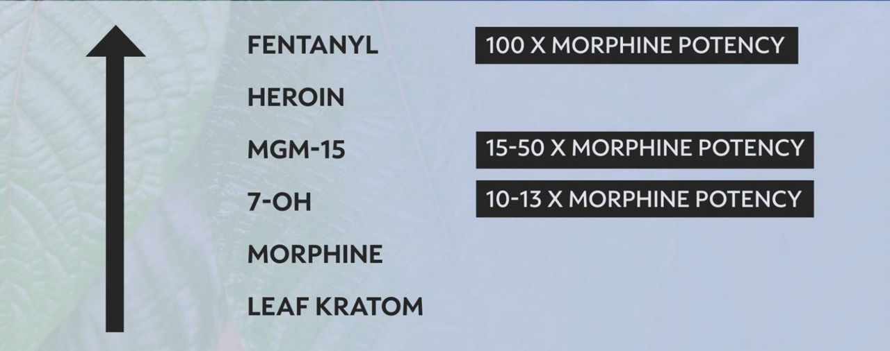 Experts warn of confusion, risk as DEA moves against 7-OH