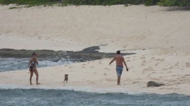 An image sent via the DLNRtip app shows a couple and a dog near a Hawaiian monk seal. (Photo courtesy of DLNR)