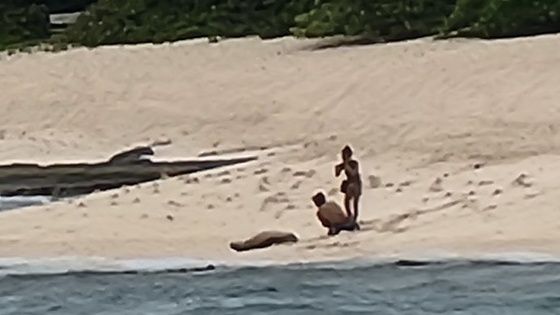 An image sent via the DLNRtip app shows a woman taking a photo of a man with a Hawaiian monk seal. (Photo courtesy of DLNR)