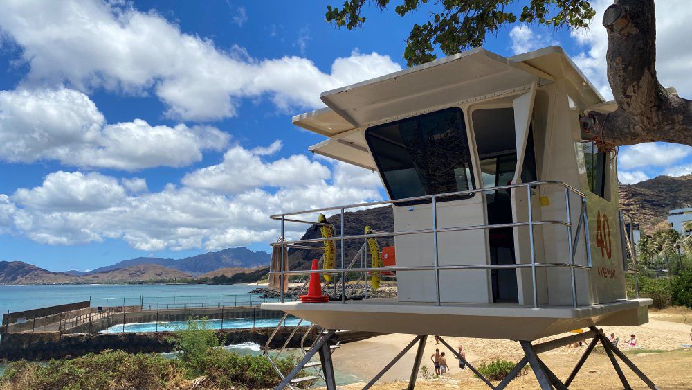 Lifeguard: Beach First Responder