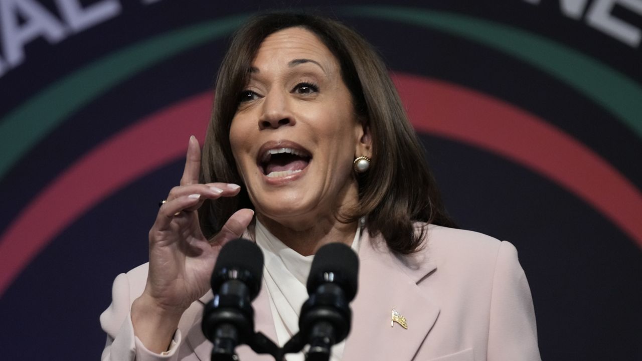 Vice President of the United States of America Kamala Harris speaks during the National Action Network convention in New York on Friday, April 14, 2023. (AP Photo/Seth Wenig)
