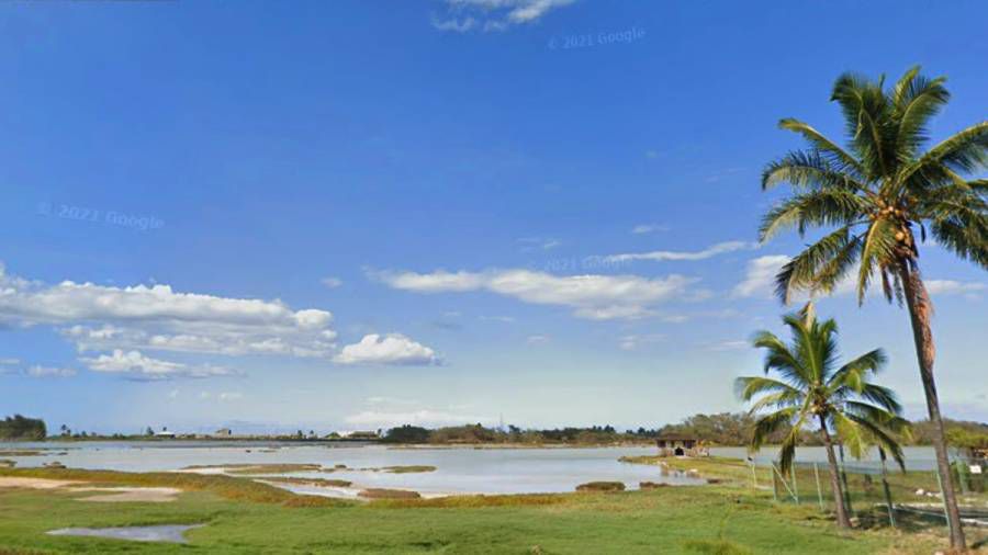 Kanaha Pond Wildlife Sanctuary is one of two major wetland habitats on Maui, and is considered vital to three native water bird species on the state and federal endangered lists. (Google Street View)