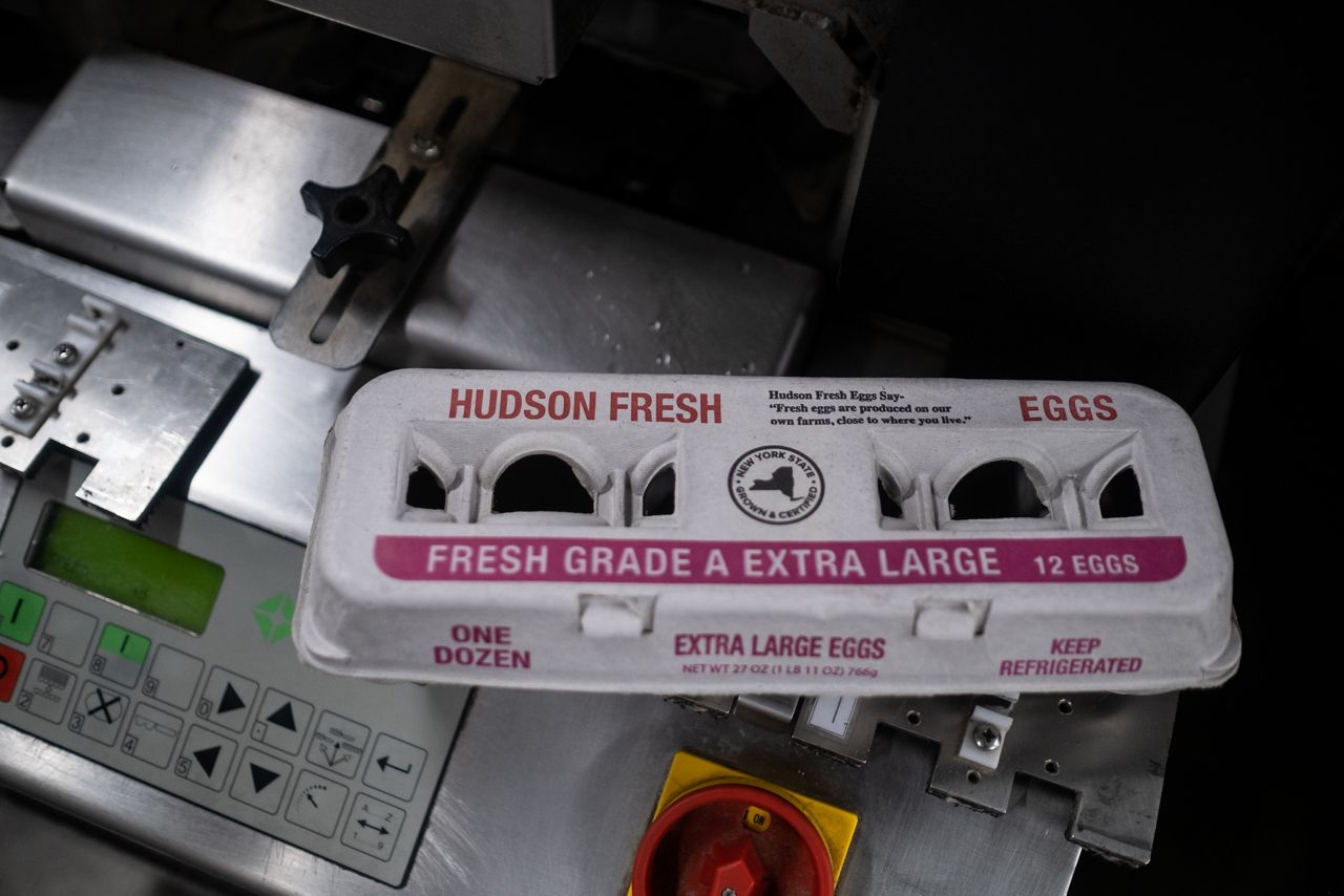 Upstate NY farmer explains different types of eggs