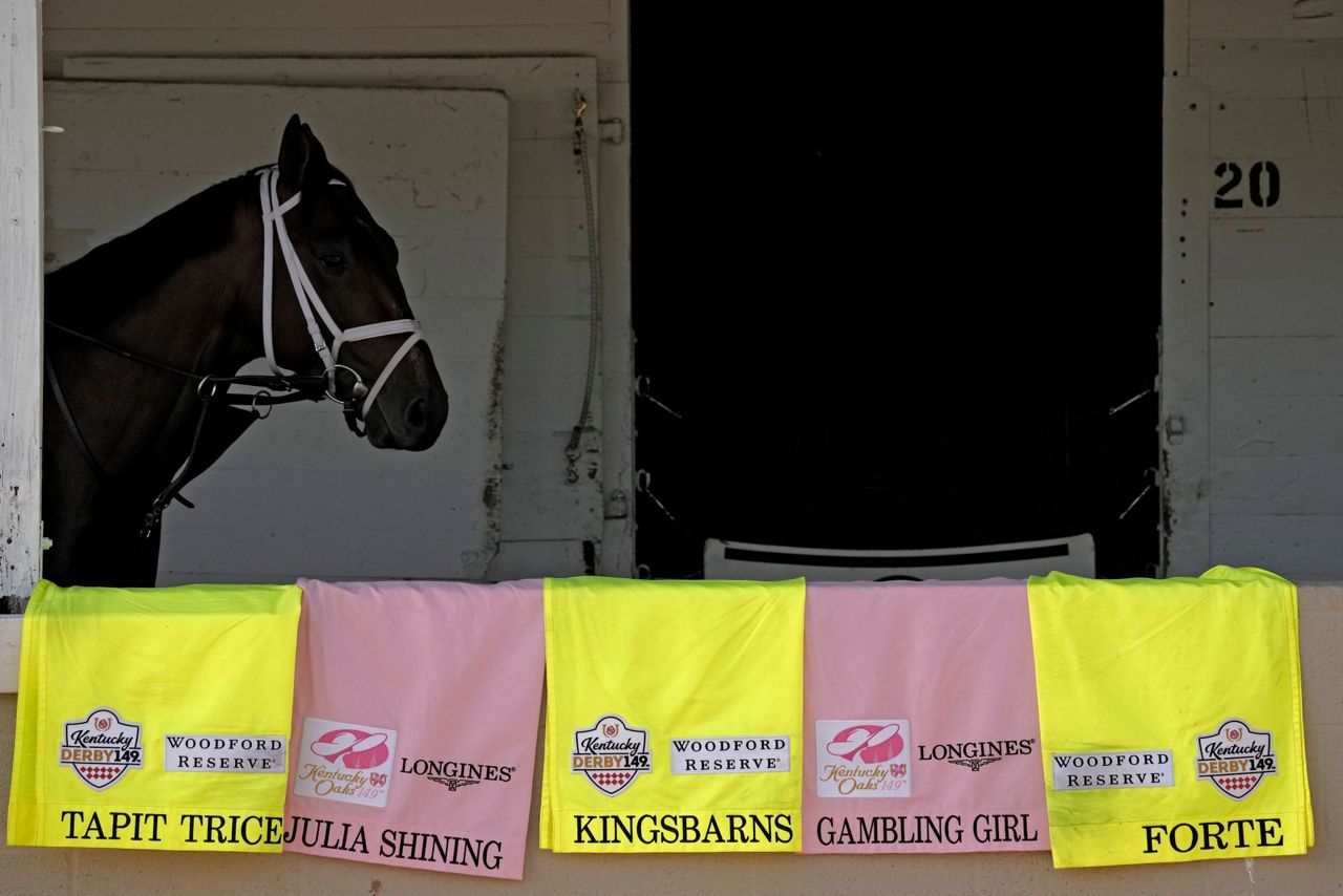 Questions linger about horse deaths in Kentucky with Preakness up next