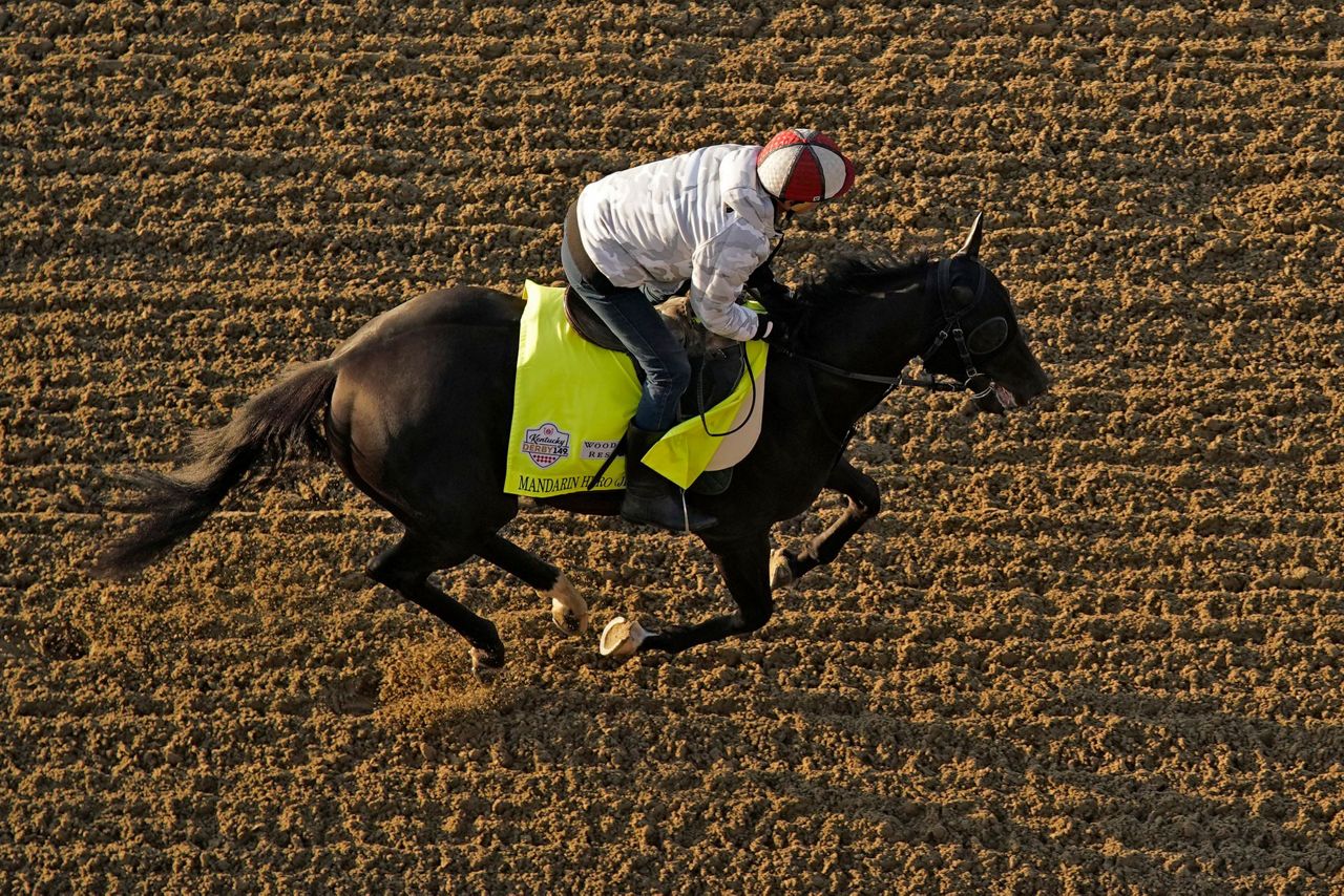 Forte, Derma Sotogake among Kentucky Derby horses to watch