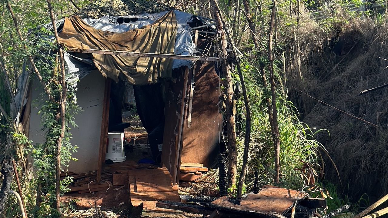 U.S. Army Garrison Hawaii joined State Department of Transportation personnel in clearing an area of Kipapa Gulch that had become a homeless encampment. (Office of Hawaii Rep. Trish La Chica)