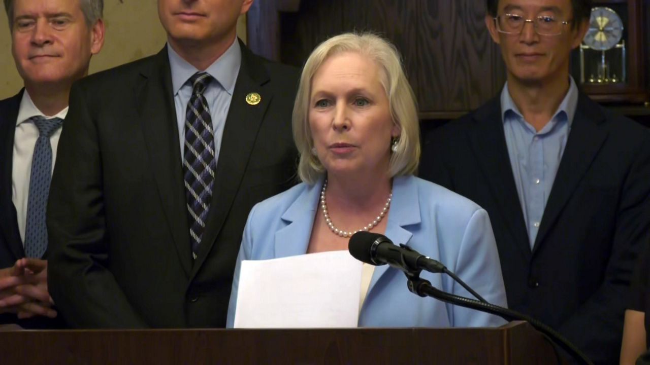 Gillibrand Goldman Bill