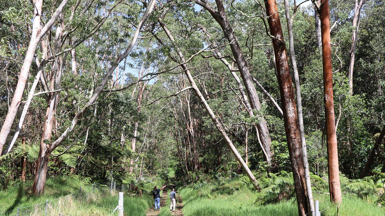 Kapāpala Koa Canoe Management Area. (Photo courtesy of DLNR)