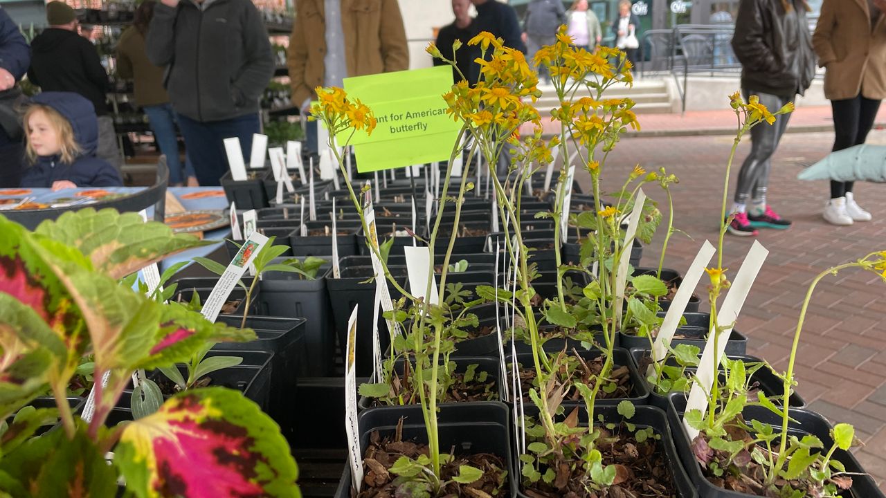 Protecting plants, crops from invasive species