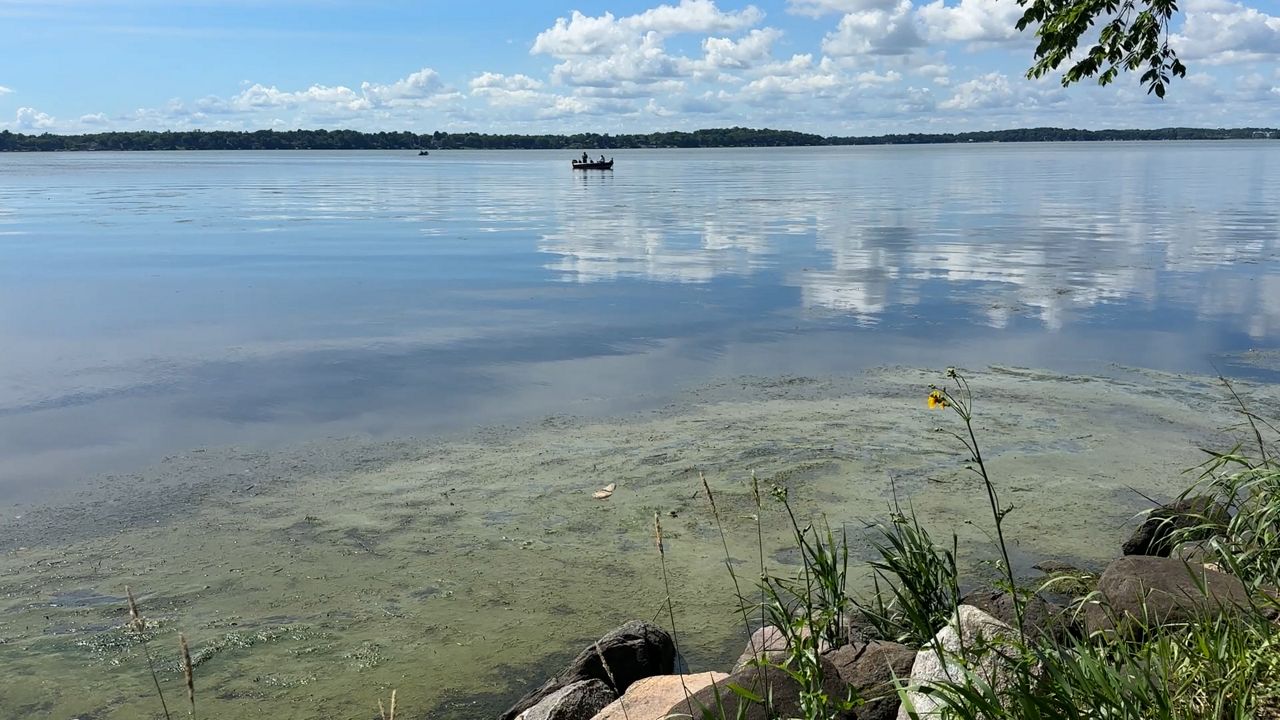 Algae causing problems on Lake Monona