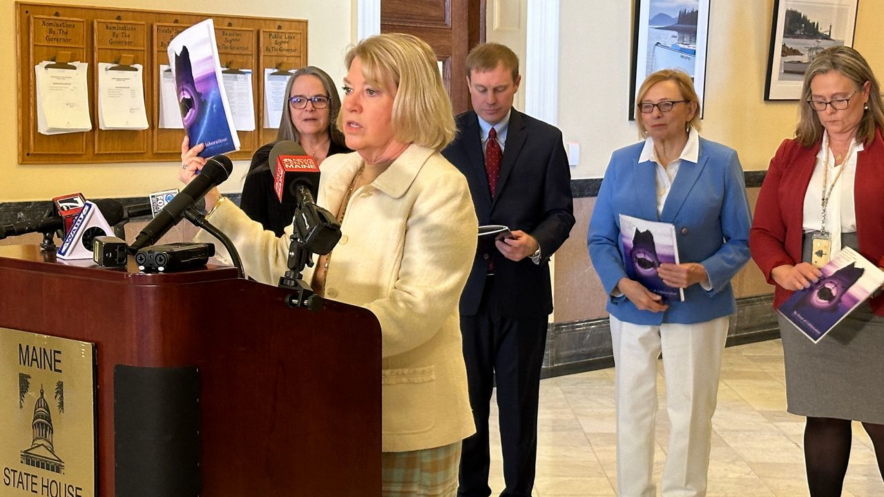 Deputy Attorney General Lisa Marchese holds up a copy of the 14th Biennial Report of the Maine Domestic Abuse Homicide Review Panel on Wednesday during a State House press conference. (Spectrum News/Susan Cover)