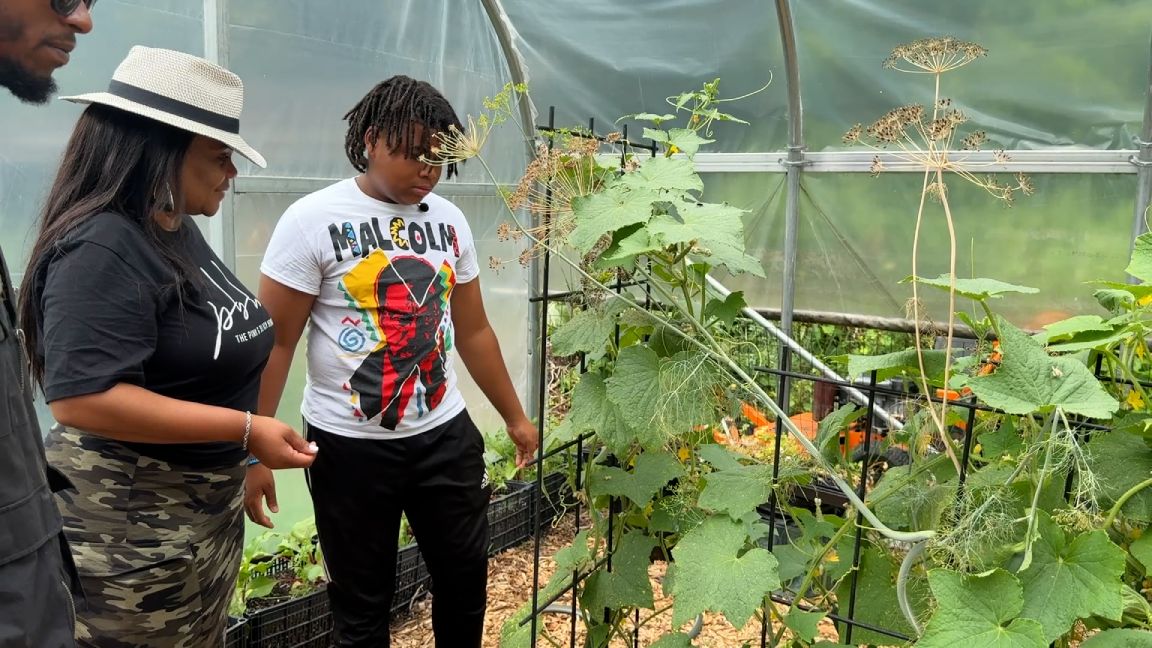 Devont’e Calloway, Aharon Ben-Keymeh, and Tenora Edwards stand in front of a cucumber garden at T.H.E. U.A.I. Farm