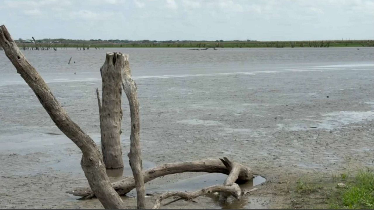 Recent rain pushes back Corpus Christi water crisis