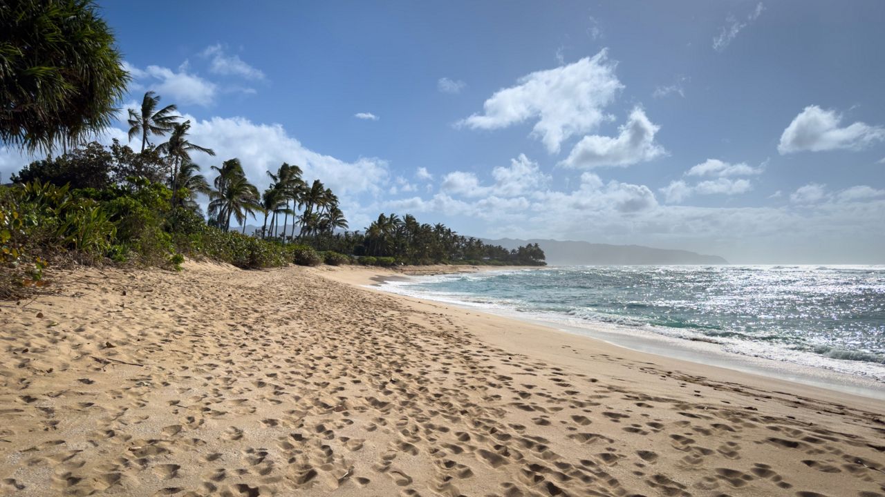 Laniakea Beach (Getty Images)