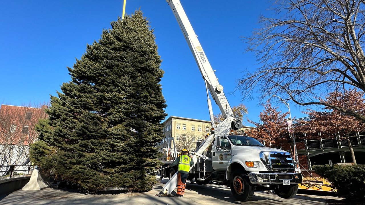 Lewiston tree goes up ahead of Dec. 2 festival