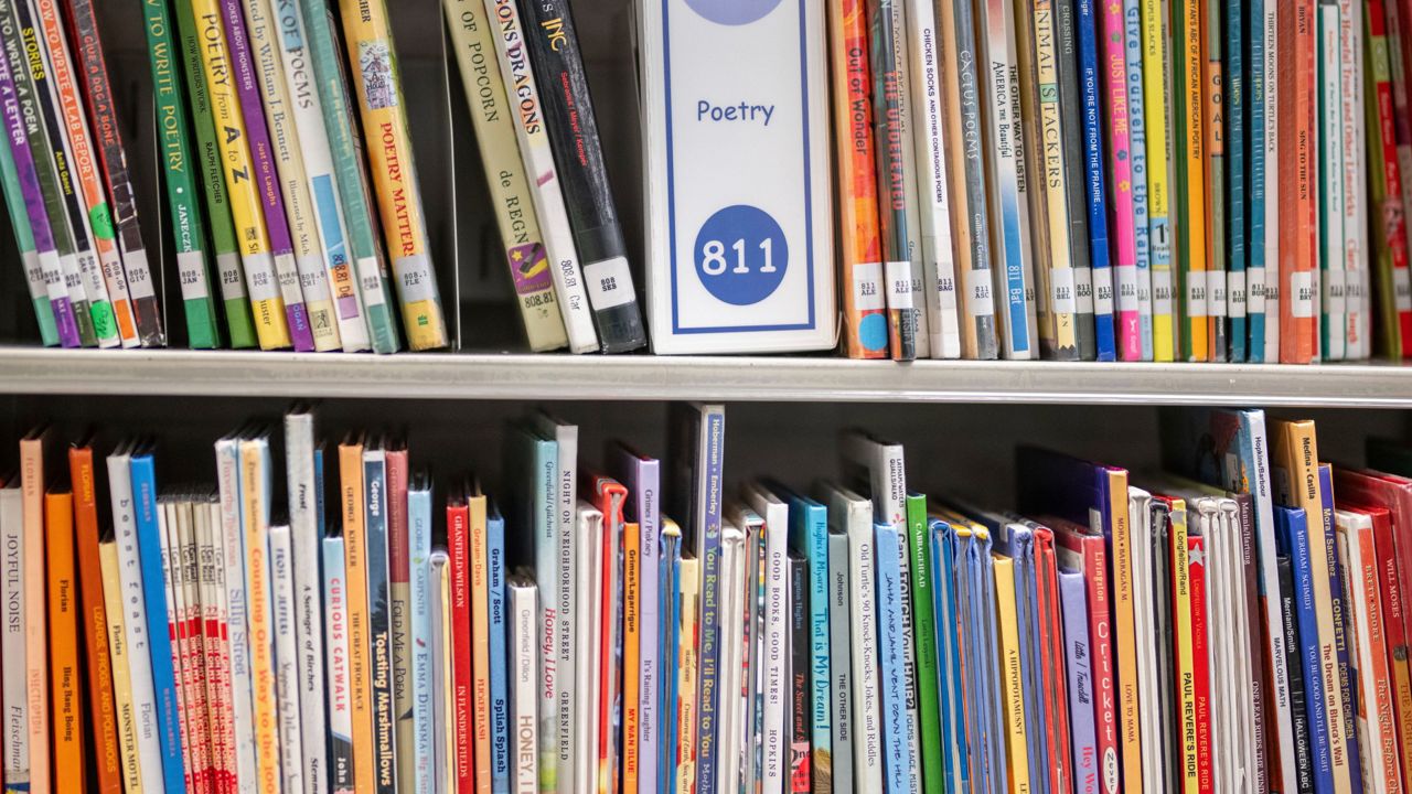 Books on a shelf in a library. (AP Photo)