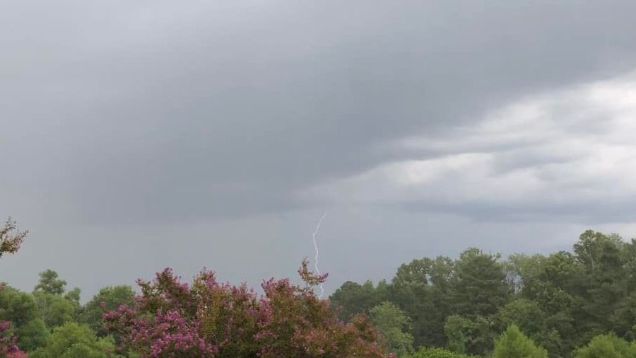 (Spectrum News 1/Gary Stephenson)