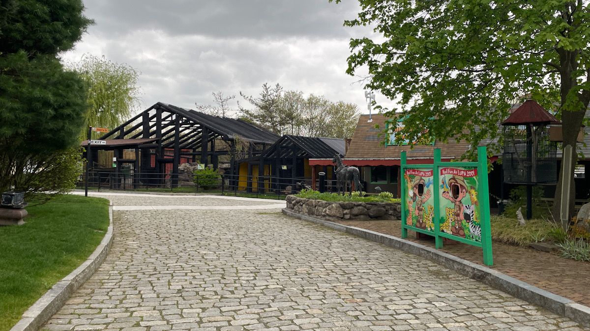 Antelope that escaped from Lupa Zoo spotted in Ludlow