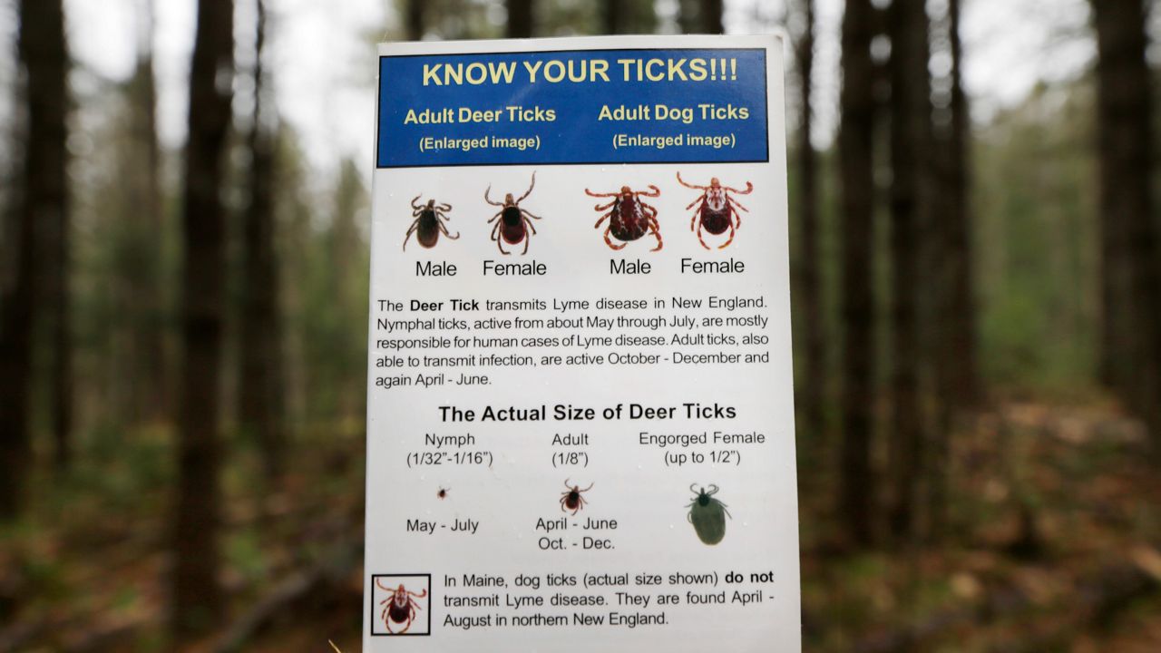 A new vaccine aims to knock out Lyme disease