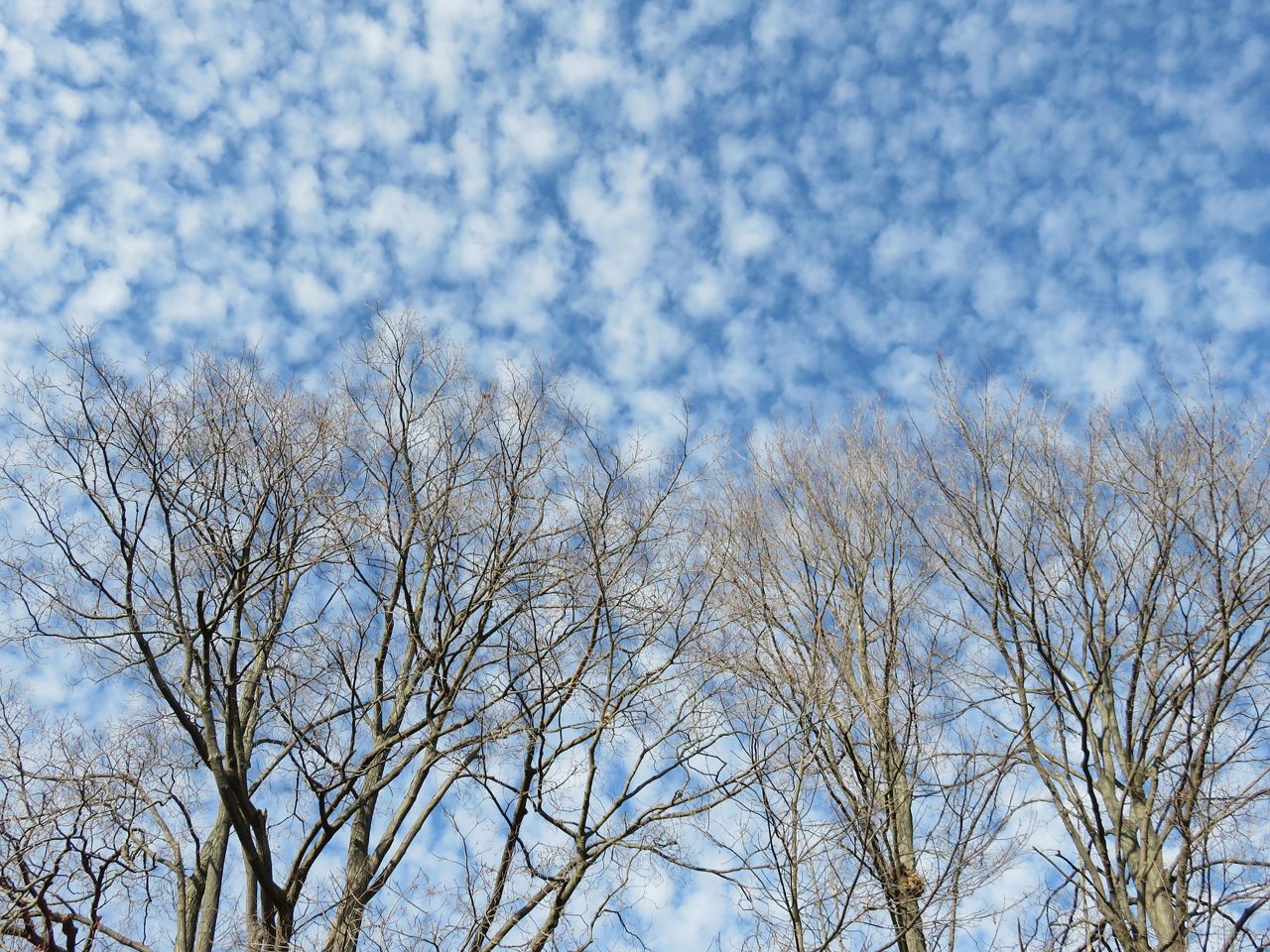 What causes a mackerel sky?