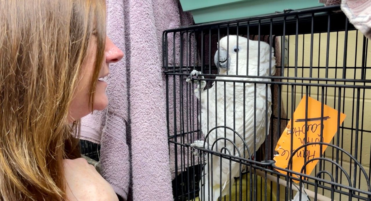 MADACC caring for animals seized from Milwaukee home