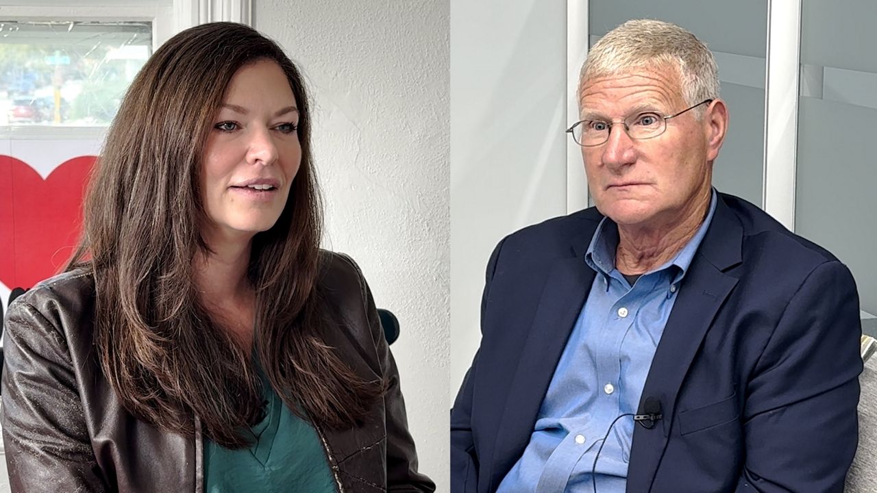 Race for 17th Senate District could determine State Senate control