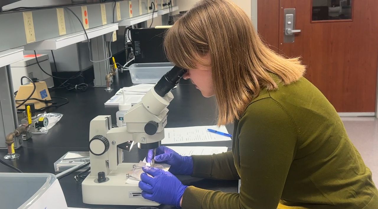Marshfield Clinic Seeks Public Assistance to Collect Ticks