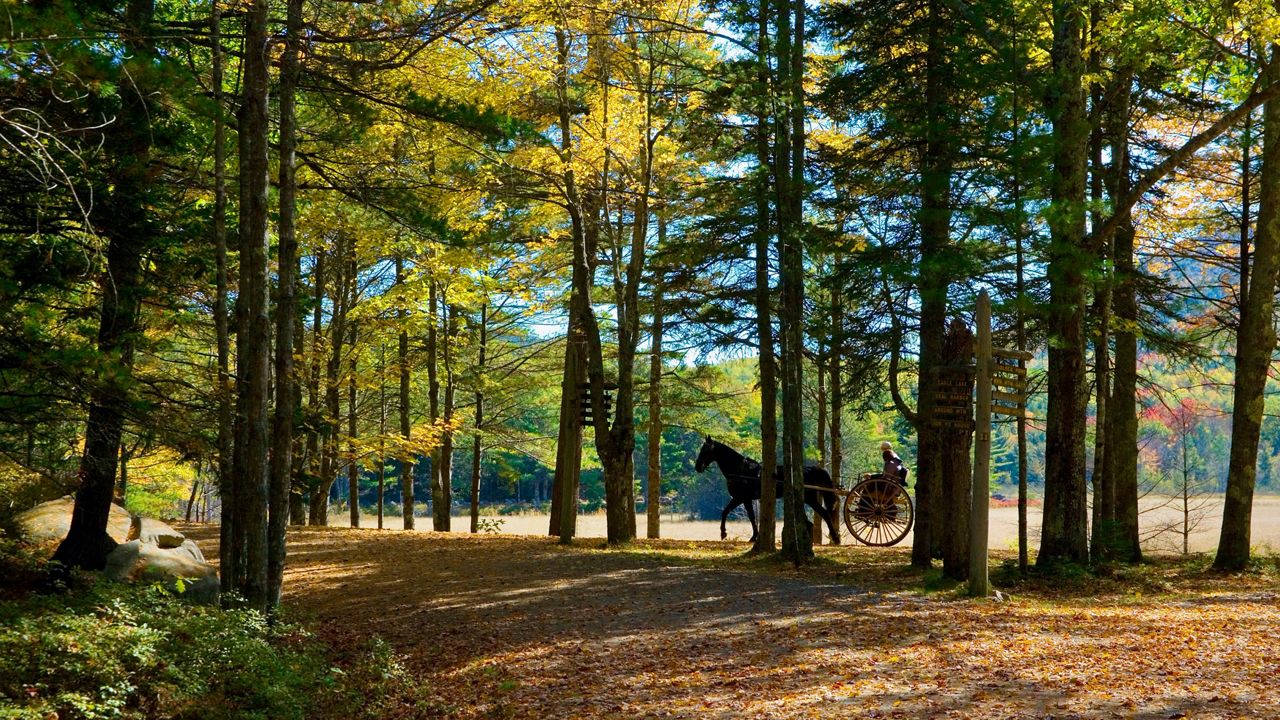 Acadia national park