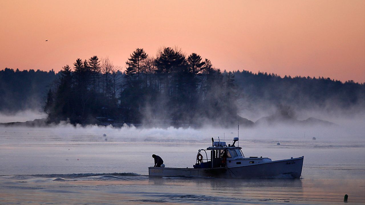 Warmer winters on average