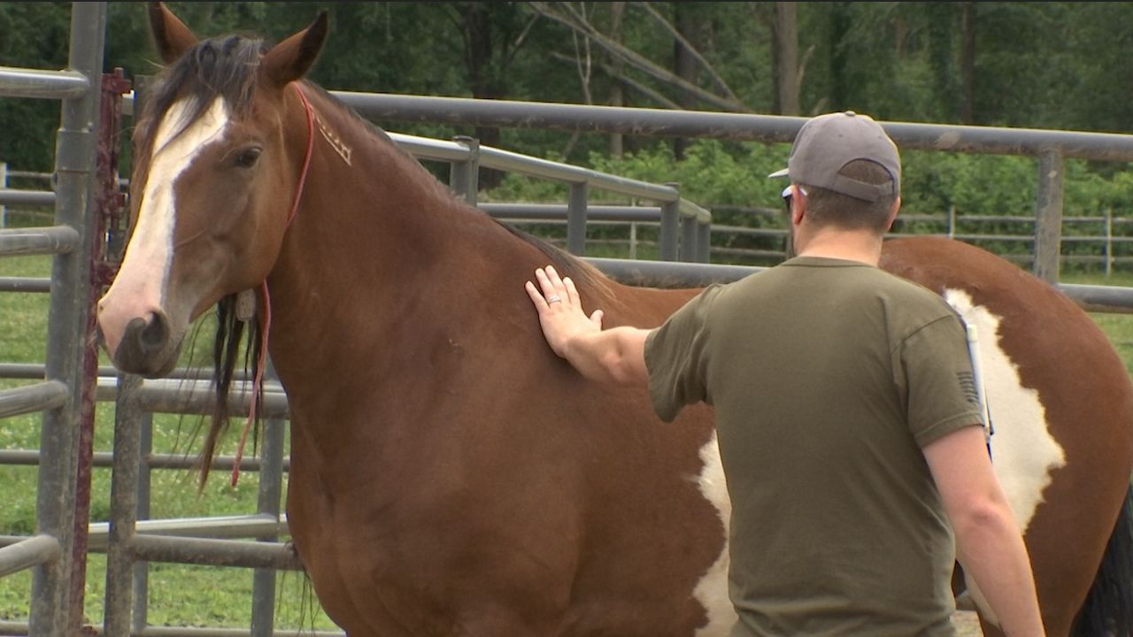 Advocates for veterans praise Mission Mustang