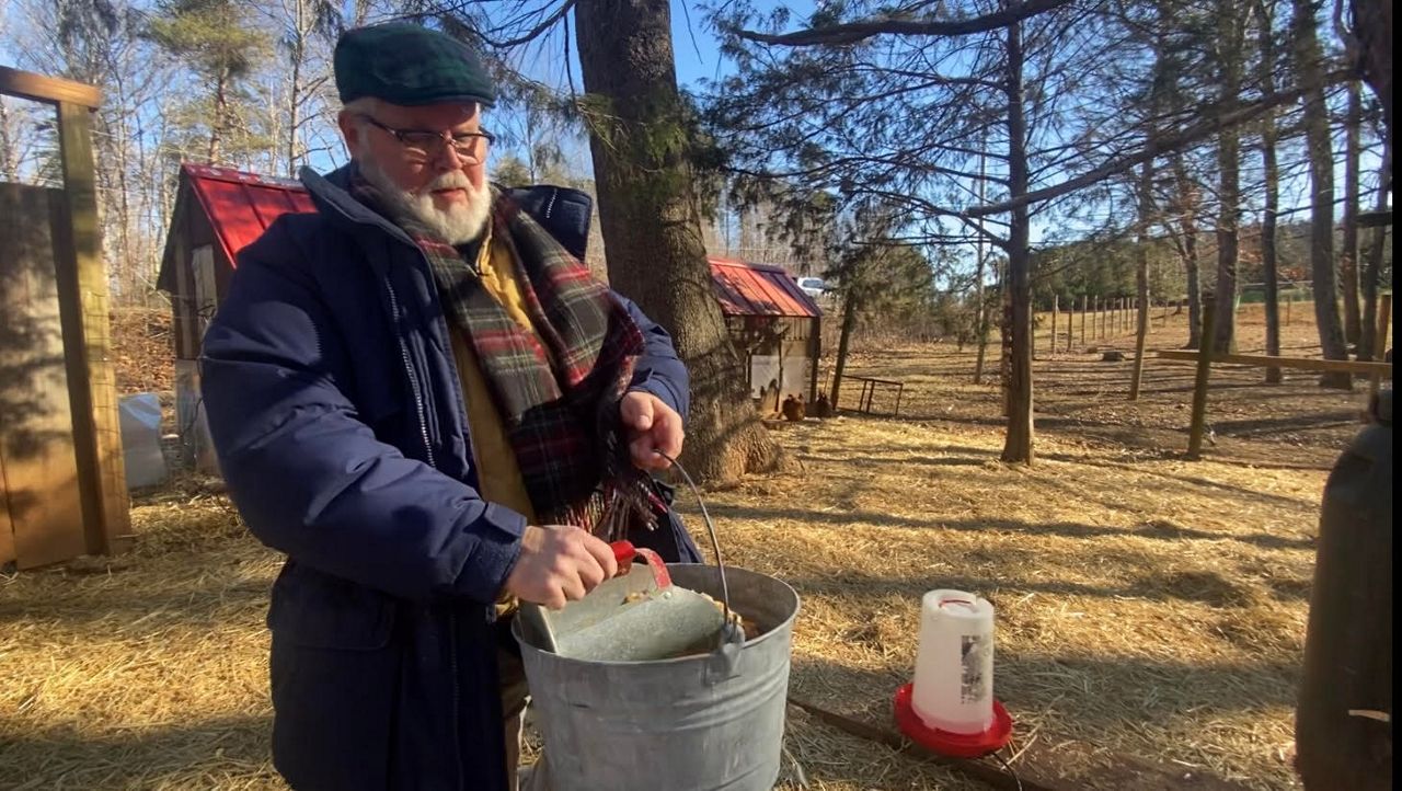 Tim Wall prepares to feed the chickens at Magnalia Homestead and Farm in Stocksdale, N.C. (Spectrum News 1/Zyneria Byrd)
